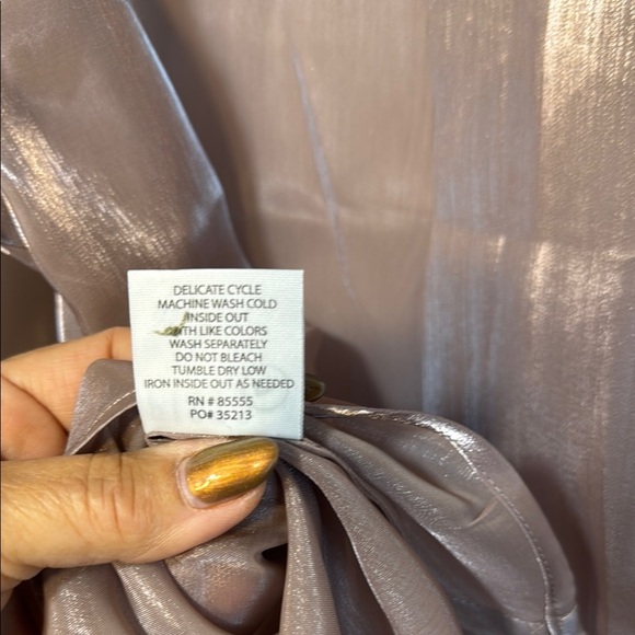 NWT Pistola Shimmering Organza Pink/Plum Button Front Blouse Semi-Sheer - Picture 6 of 15